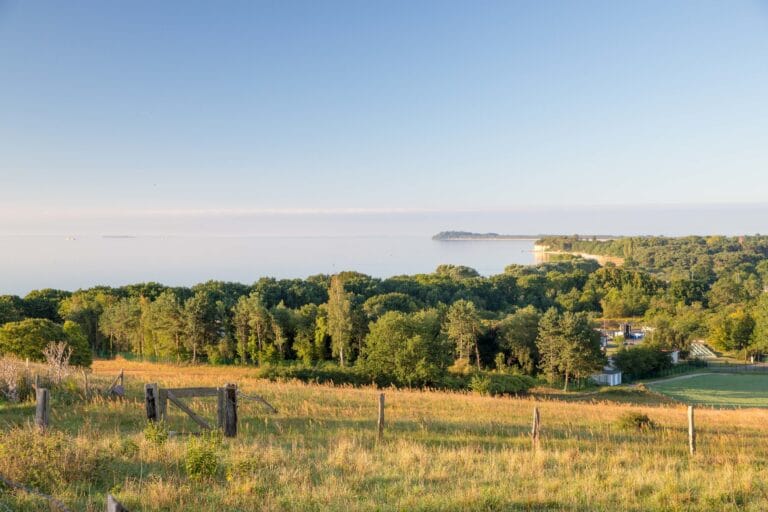 Buskamtage, Wikingertage, und viel mehr