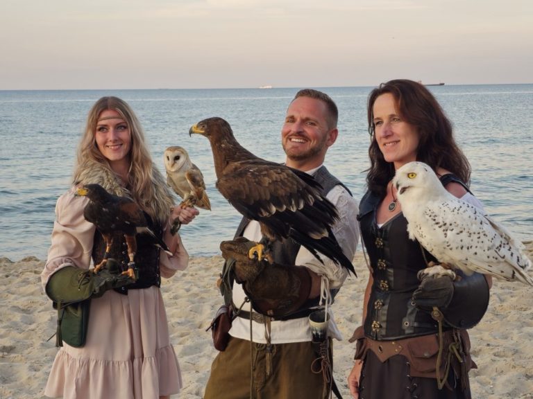 Wikingertage im Ostseebad Göhren vom 29. bis 31. August 2025 – ein Erlebnis für die ganze Familie