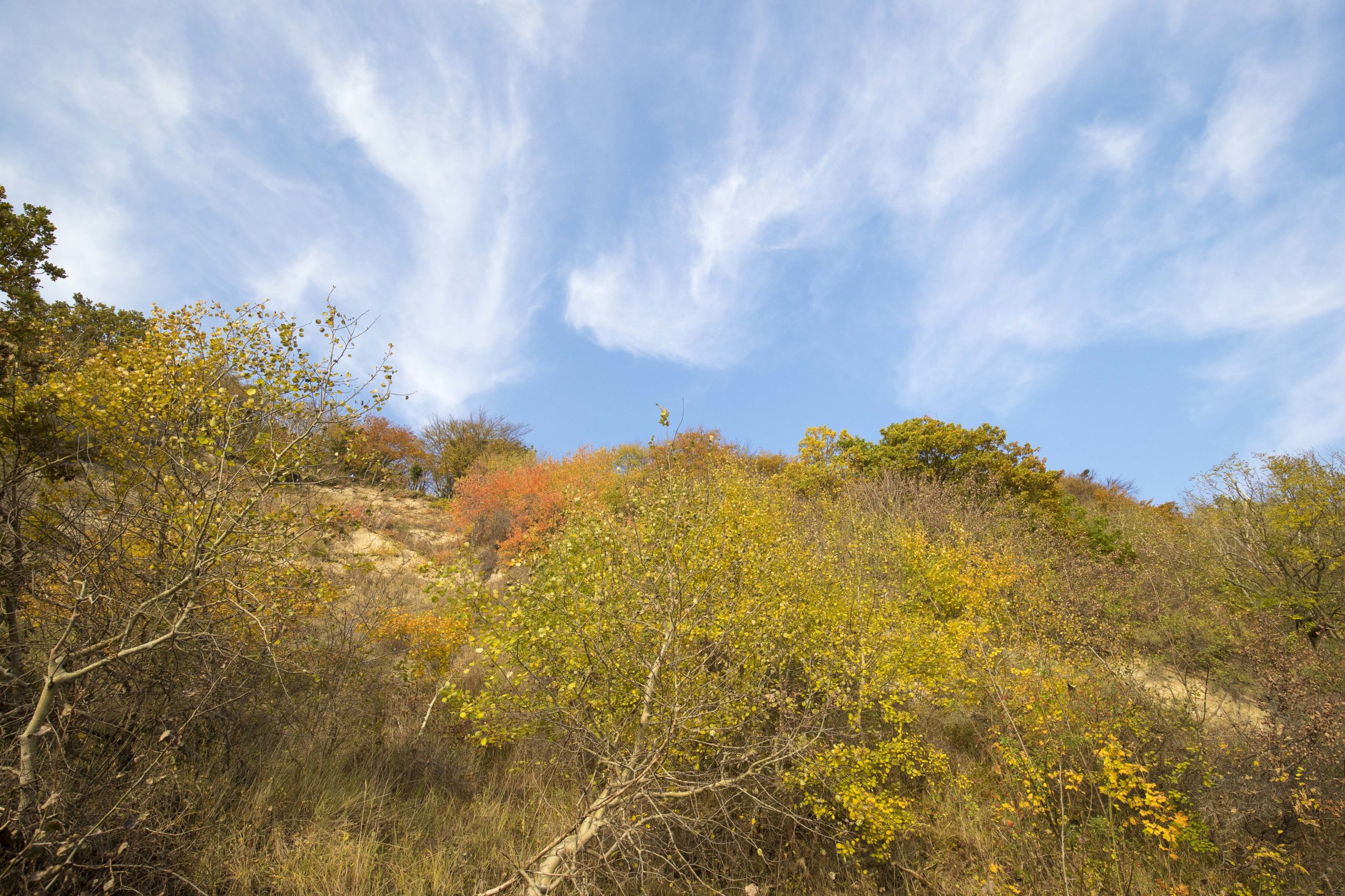 Ausblick auf die Gastgeberwoche im Herbst 2025 und mehr